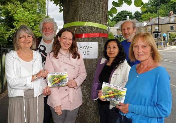 Campaigners from SORT are celebrating a partial victory for democary after learning the trees on Rustlings Road they have been fighting to keep are likely to stay. Picture: Andrew Roe