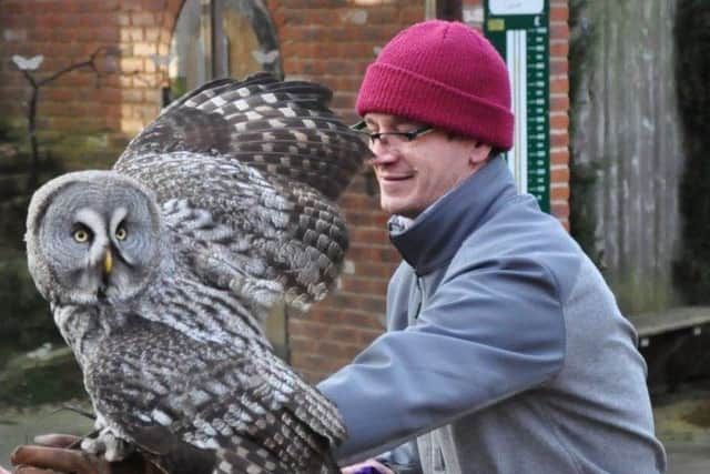 Pete Tingle with the great grey owl who delivered his fiancee's engagement ring