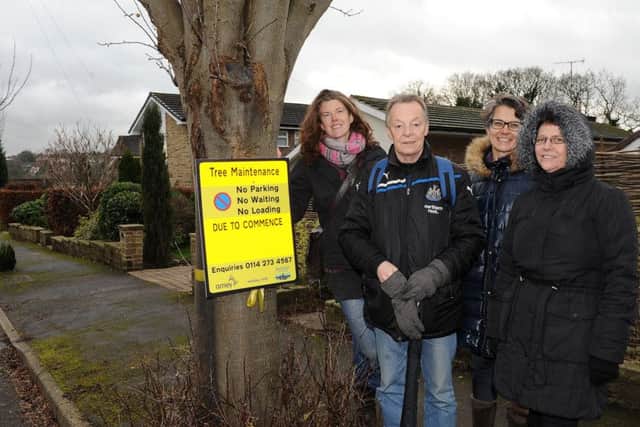 Sarah Lagden, Dave Dillner, Karine Zbinden and Ann Anderson next to a tree on Devonshire Road, which was due to be felled
