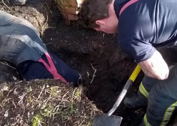 Fire crews from Parkway station in Sheffield were called to reports of two terrier dogs stuck down a rabbit hole.