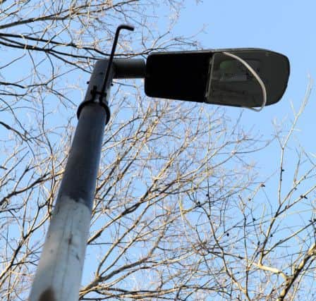 The council are considering installing extra high lamp posts and guards after youths keep damaging the lights in Mount Pleasant Park. Picture: Andrew Roe