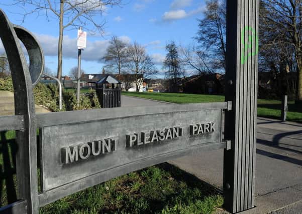 The council are considering installing extra high lamp posts and guards after youths keep damaging the lights in Mount Pleasant Park. Picture: Andrew Roe