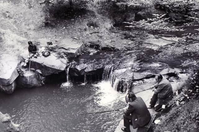 Fishermen near the start of the Rivelin Nature Trail, where the river formed a deep pool, pictured September 1976