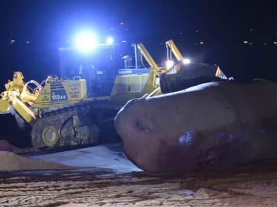 The operation to move three beached sperm whales, washed up on the east coast, to a Sheffield land-fill site cost around 26,000.