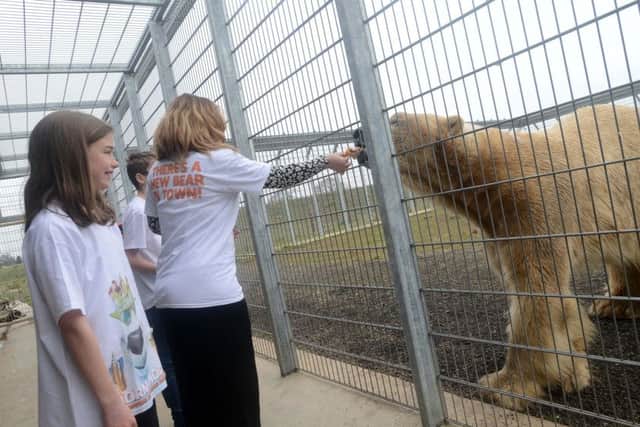 Photo courtesy Yorkshire Wildlife Park.
Release of Norm of the North film.