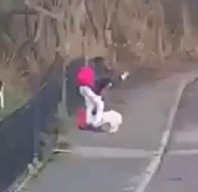 Mobile phone recording sees the woman hit the white dog which then lies helpless on the ground