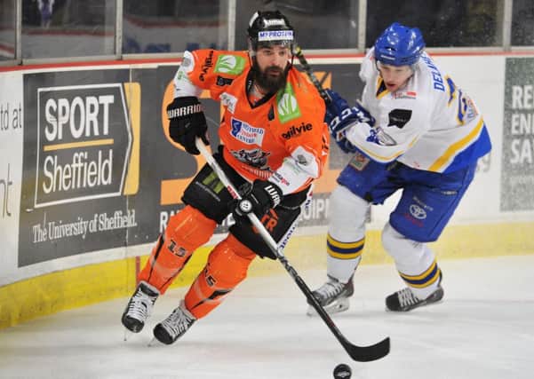 Mathieu Roy in action for Sheffield Steelers v Fife Flyers