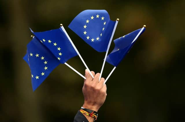 Library photo of a man holding EU flags  Photo: Lynne Cameron/PA Wire