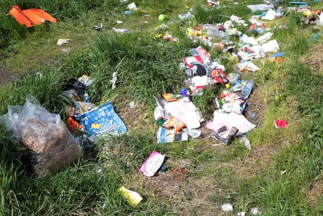 Litter dumped in Sheffield