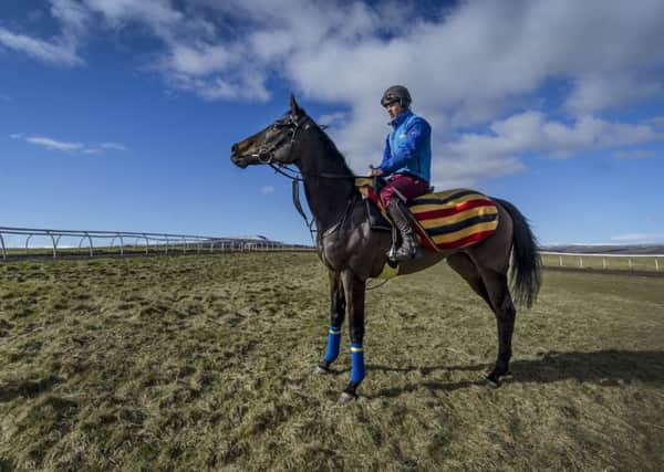 Jockey Joe Colliver and Just Cameron take a breather along the top of Middleham gallops after an early morning ride. (Picture: James Hardisty)