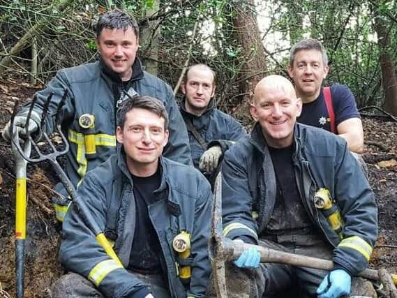 Firefighters have rescued a Jack Russell dog that was trapped underground in a hole in Sheffield woods for three days.