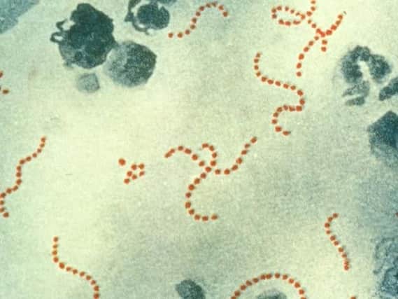 The start of this year has seen a surge in the number of scarlet fever cases