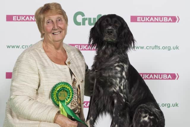 Christine Ogle from Rotheram with Freya a Large Munsterlander, which was the Best of Breed winner on the second day of Crufts 2016, at the NEC Birmingham. Copyright onEdition 2016 Â©