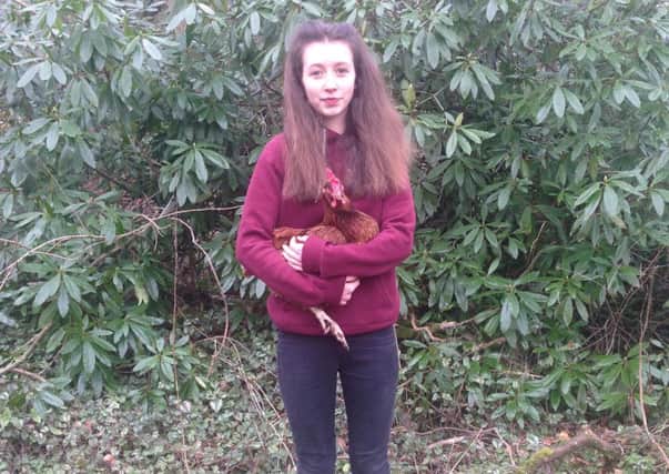 Sheffield schoolgirl Lucy Gavaghan, aged 14, has set up a petition calling on Tesco to end the sale of eggs from caged and barn kept hens which has gained over 76,000 signatures in two weeks.