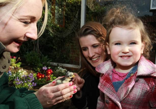 Feature on the Tropical Butterfly House in North Anston near Sheffield with Nik Farah and her daughter Imogen. They are pictured with Abigail Carter from the centre and some new baby chicks.
