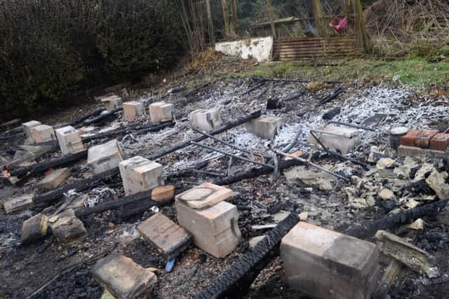 Over 180 Pigeons perished in an Arson attack on two allotment plots on Hunningley Lane, Barnsley. Picture: Marie Caley NSST Allotments MC 3