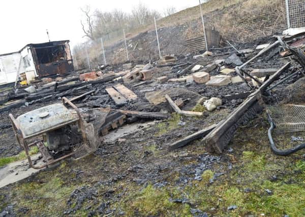 Over 180 Pigeons perished in an Arson attack on two allotment plots on Hunningley Lane, Barnsley. Picture: Marie Caley NSST Allotments MC 4