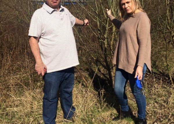Catcliffe residents are 'horrified' at a building firm's decision to chop down trees on urban green space