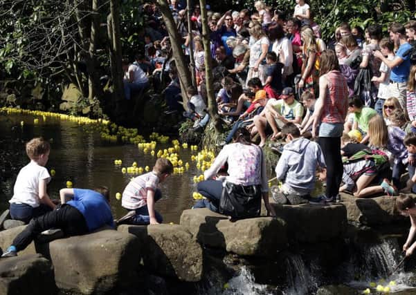 Crowds line the banks for the duck race in Endcliffe Park