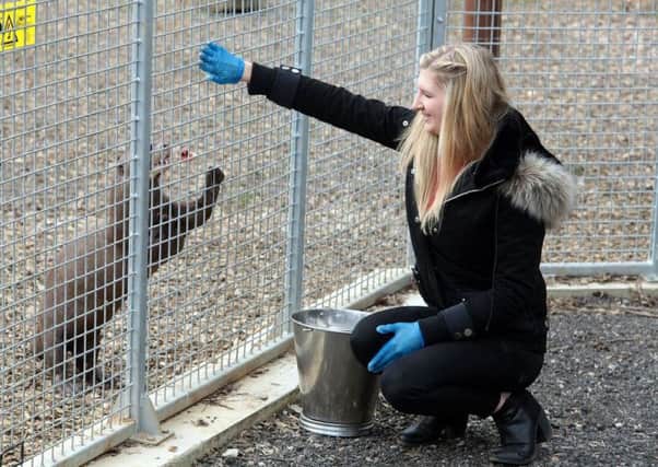 Double Olympic champion Rebecca Adlington opened the new giant otter enclosure at Yorkshire Wildlife Park