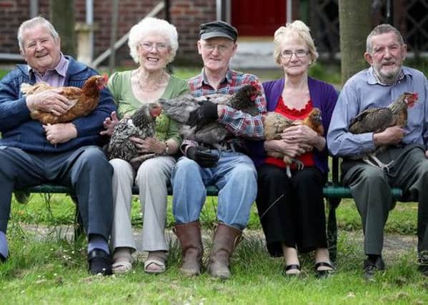 A charity wants to bring its hen-keeping project to Sheffield