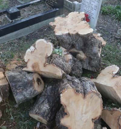 The logs left on graves after tree felling at Newbold cemetery.
