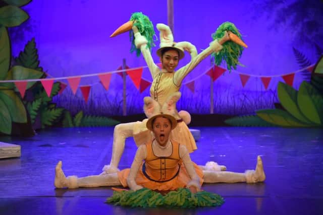 The Tortoise and the Hare by Northern Ballet