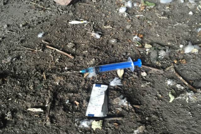 Used drug needles under a bridge which links up Brunswick Road and Derek Dooley Way