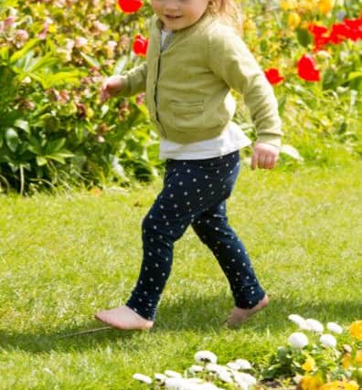 Two year old May Brown enjoys the newly opened tulips in Sheffield's Botanical Gardens as the temperature rose to 20 degrees
Picture Dean Atkins