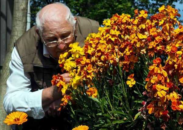 Graves Park Arboretum and Wlidlife Meadow: Ernest Brewin smelling the wallflowers