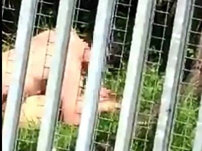 The couple caught having sex on camera in Doncaster. We have pixellated their faces.