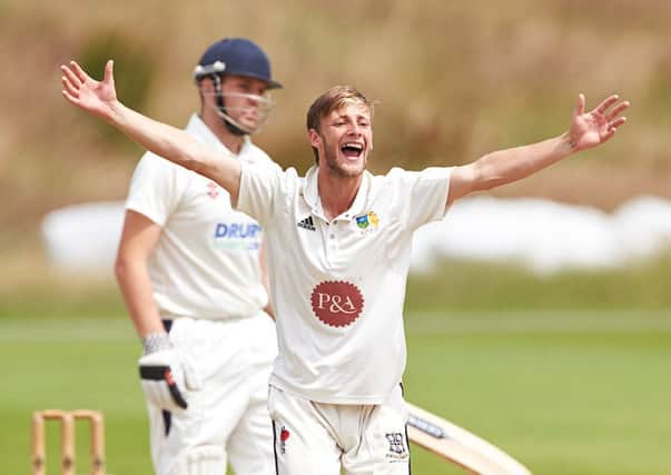 Billy Root of Sheffield Collegiate CC took four wickets against Rotherham Town