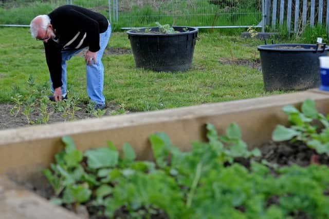 Mike Newsome at the St Saviour's Church community allotment. Picture: Andrew Roe
