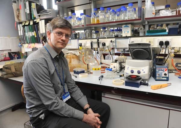 Professor David Dockrell in the lab at Sheffield University - Picture: Scott Merrylees