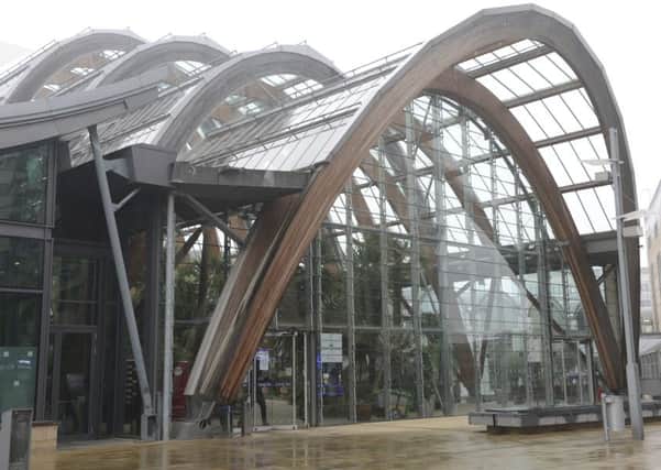 The Winter Gardens in Sheffield city centre