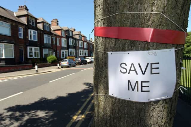 Save the trees campaign on Rustlings Road in Sheffield.