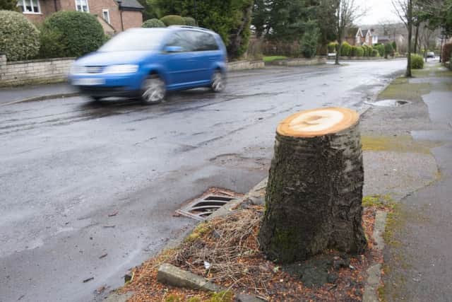Tree felled n on Devonshire Road in Dore