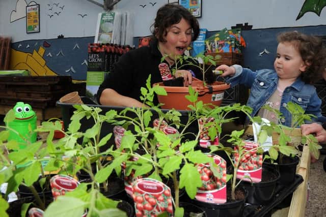 Imogen Farah makes a tomato hanging basket with Victoria Middleton, of Ferndale Garden Centre as part of National Children's Gardening Week, at Ferndale Garden Centre. Picture: Andrew Roe