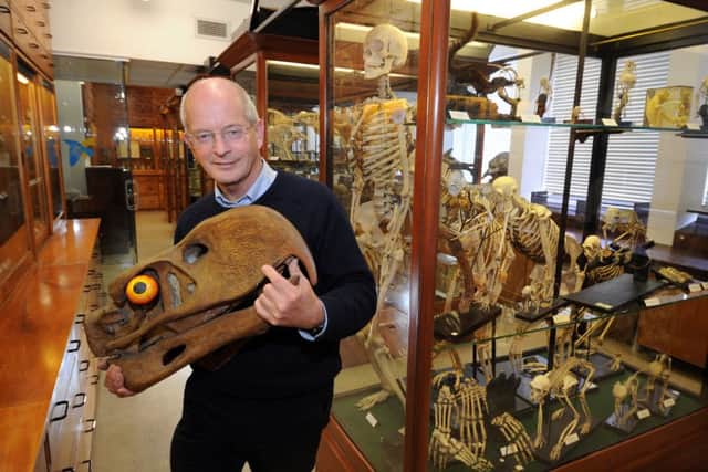Alfred Denny Museum at Sheffield University...... Curator Prof Tim Birkhead with a cast of the skull of a Terror Bird  one of the exhibits 
  See Story Steve McClarence  Picture Chris Lawton   
02/04/13