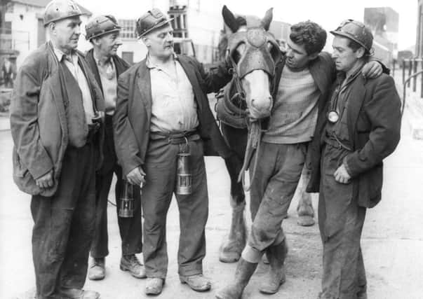 Woolley, 16th July 1963

Pony boy Eric Humphrey, with "Monarch", one of the miner's favourite pit ponies.

Four miners are seen making friends with "Monarch".
