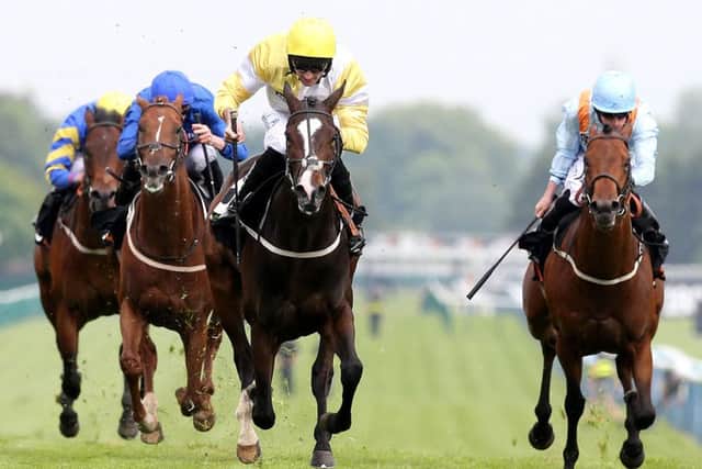 Quiet Reflection (centre) is tipped to score at Royal Ascot. Photo: Martin Rickett/PA Wire