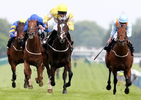 Quiet Reflection (centre) is tipped to score at Royal Ascot. Photo: Martin Rickett/PA Wire