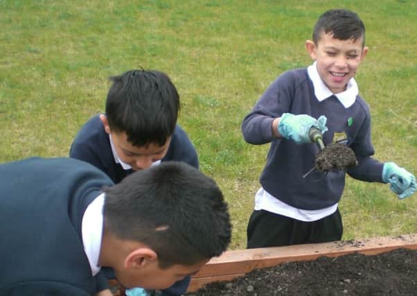 Pupils at Oasis Academy Fir Vale getting their hands dirty in the school's new 'outdoor classroom'