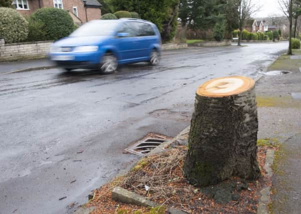 Trees which have been felled around Sheffield as Amey and Sheffield Council continue their tree felling campaign on Devonshire Road in Dore

Picture Dean Atkins