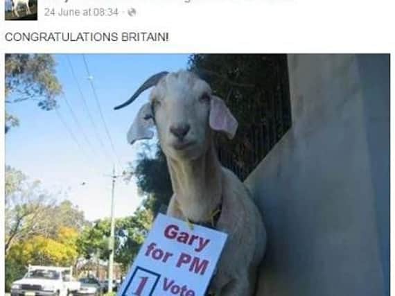 Gary The Goat