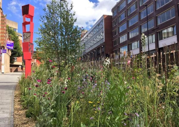 Sheffield Council's Grey to Green project in Snig Hill and West Bar.