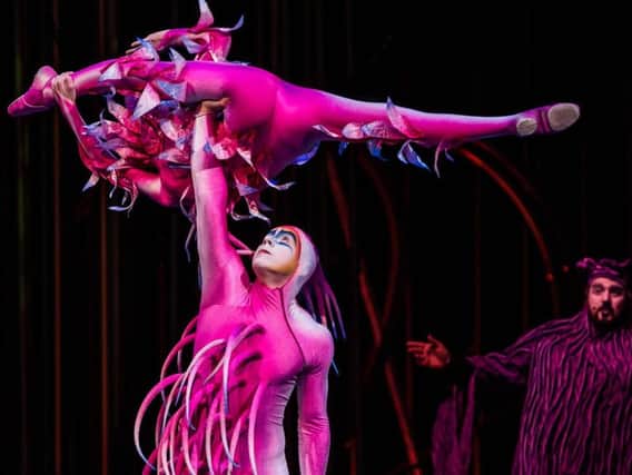The Cirque du Soleil show, Varekai