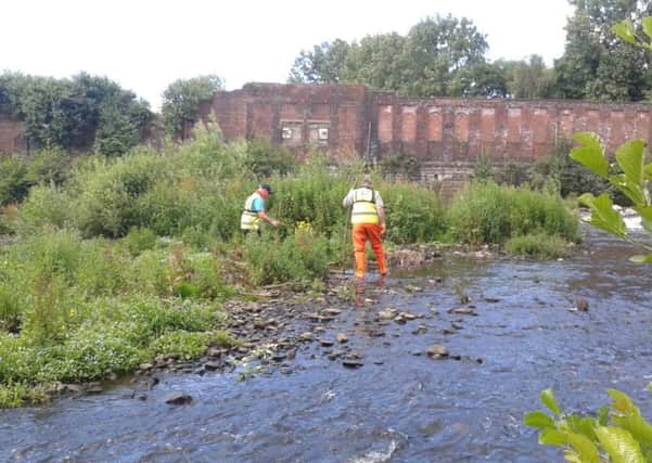 Clean-up of waterways in Sheffield