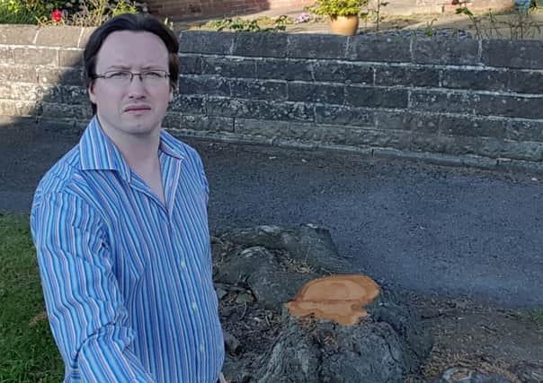 Sheffield city councillor Joe Otten with the stump of a felled tree in Marston Cresscent. It was felled before the independent tree panel had a chance to review it.