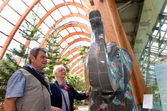 Herd of Sheffield Launch Winter Gardens Terry and Stella Alford are pictured